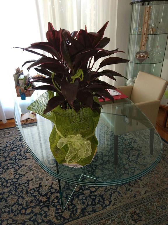 Marinella B&B Cornale Экстерьер фото